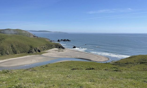 Tertutup Seabad, Pesisir Indah California Kini Bisa Dikunjungi