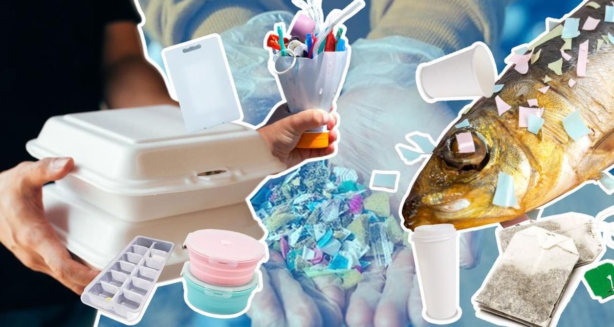 Ancaman Mikroplastik di Dapur: Risiko Kesehatan dan Mengurangi