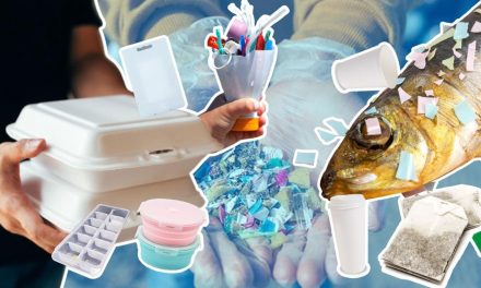 Ancaman Mikroplastik di Dapur: Risiko Kesehatan dan Mengurangi