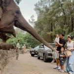 Jangan Berangkat Dulu! Ini Persiapan Wajib Sebelum Perjalanan Jauh