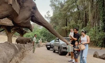 Jangan Berangkat Dulu! Ini Persiapan Wajib Sebelum Perjalanan Jauh