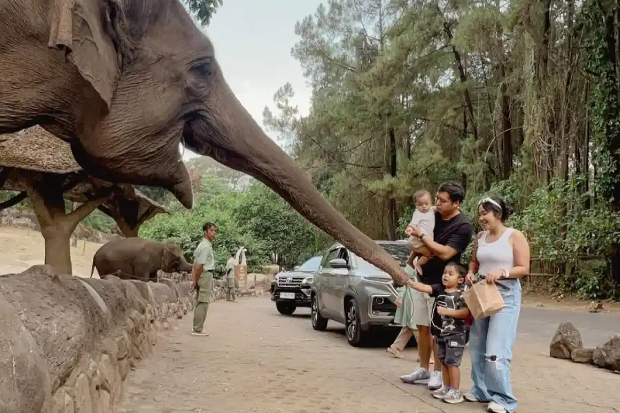 Persiapan Perjalanan Jauh