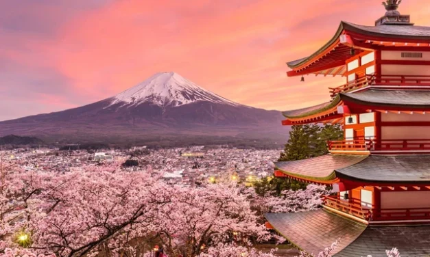 Festival Sakura di Jepang Resmi Dibatalkan, Warga Tak Tahan Serbuan Wisatawan