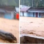 Banjir Bandang Terjang Tapanuli Tengah, Warga Hutanabolon Terjebak di Dalam Rumah