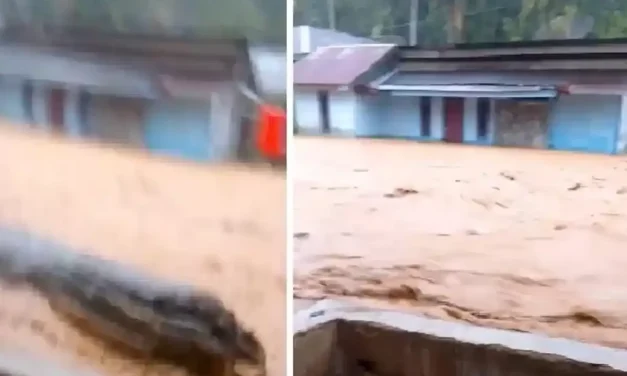 Banjir Bandang Terjang Tapanuli Tengah, Warga Hutanabolon Terjebak di Dalam Rumah