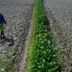 Musim Kemarau 2026 Memasuki Fase Kekeringan Hidrologis, BMKG Ingatkan Dampak yang Perlu Diwaspadai