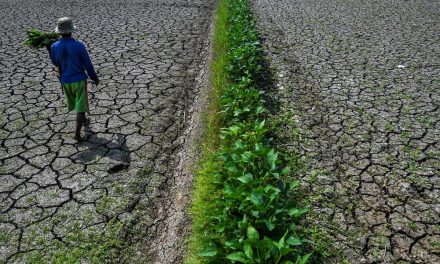Musim Kemarau 2026 Memasuki Fase Kekeringan Hidrologis, BMKG Ingatkan Dampak yang Perlu Diwaspadai
