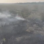 Karhutla Way Kambas Capai 107 Hektare, Kondisi Gajah Terus Dipantau