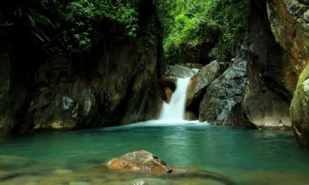 7 Curug di Bogor untuk Healing, dari Trekking Ringan hingga Petualangan Menantang