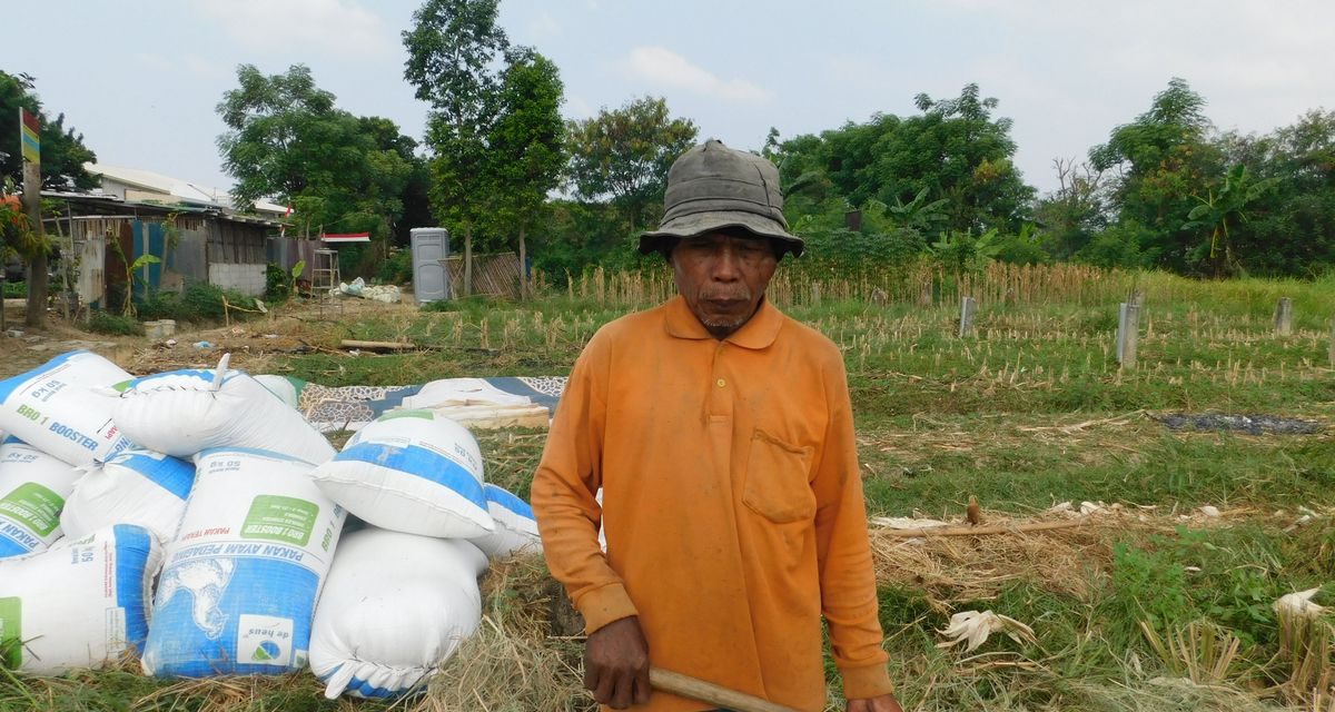 Perjalanan Hidup Salip, Buruh Tani 70 Tahun yang Bertahan di Gubuk Sawah Jakarta Timur