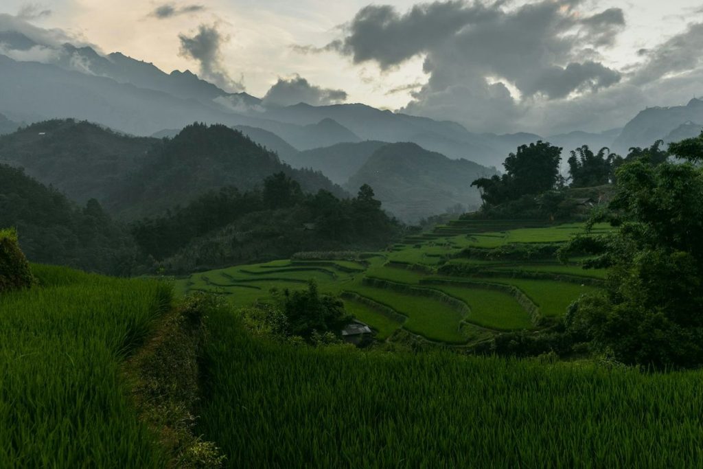 Tegallalang Rice Terrace Bali masuk daftar tempat wisata terhijau di dunia
