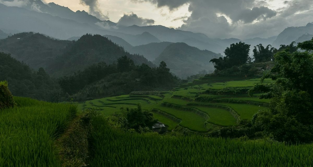 10 Tempat Wisata Terhijau di Dunia, Tegallalang Bali Masuk Daftar