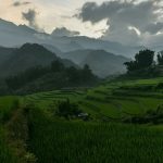 10 Tempat Wisata Terhijau di Dunia, Tegallalang Bali Masuk Daftar