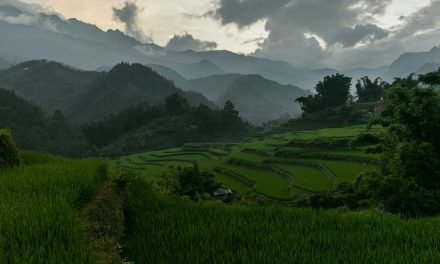 10 Tempat Wisata Terhijau di Dunia, Tegallalang Bali Masuk Daftar