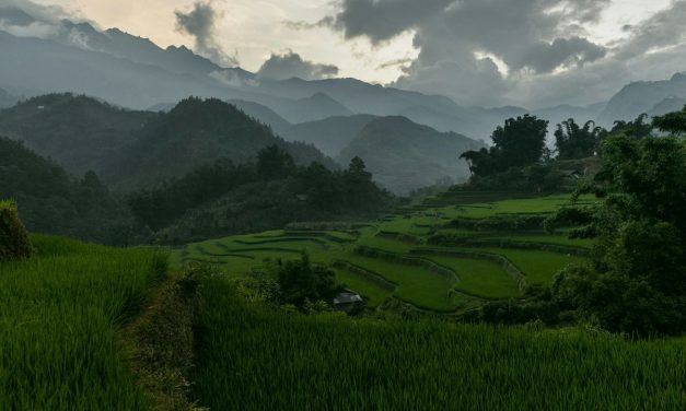 10 Tempat Wisata Terhijau di Dunia, Tegallalang Bali Masuk Daftar
