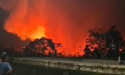 Api Membakar Lahan Dekat TPA Galuga Bogor, Damkar Siaga Cegah Perambatan