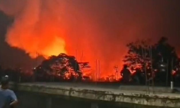 Api Membakar Lahan Dekat TPA Galuga Bogor, Damkar Siaga Cegah Perambatan